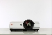 Projektor Eiki LC WSP3000